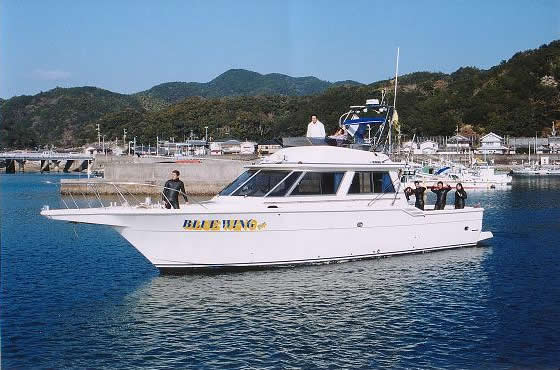 �u���[�E�C���O�@�C��